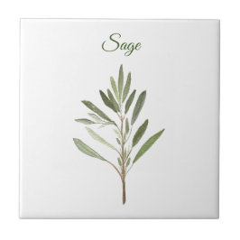 Sage Herb Greenery Kitchen Culinaire Groene Rustic Tegeltje