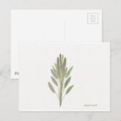 Sage-herfst botanische plant kunstdrukkunst briefkaart (Voorkant / Achterkant)