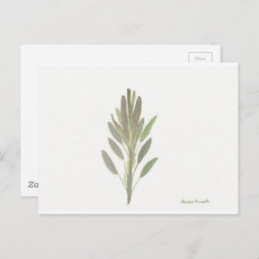 Sage-herfst botanische plant kunstdrukkunst briefkaart (Voorkant / Achterkant)