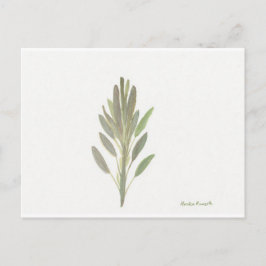 Sage-herfst botanische plant kunstdrukkunst briefkaart