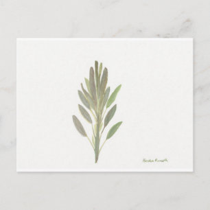 Sage-herfst botanische plant kunstdrukkunst briefkaart