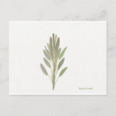 Sage-herfst botanische plant kunstdrukkunst briefkaart (Voorkant)