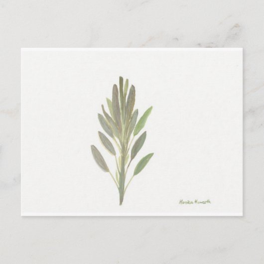 Sage-herfst botanische plant kunstdrukkunst briefkaart (Voorkant)