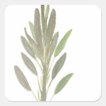 Sage-herfst botanische plant kunstdrukkunst