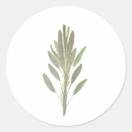 Sage-kruidbotanische plant groen ronde sticker