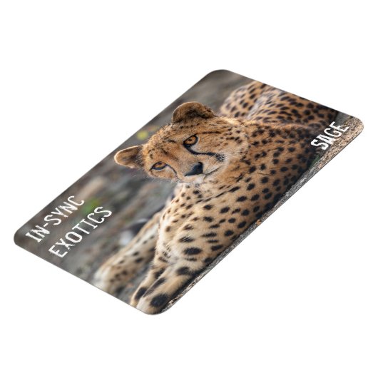 Sage - magneet (Linkerzijde)