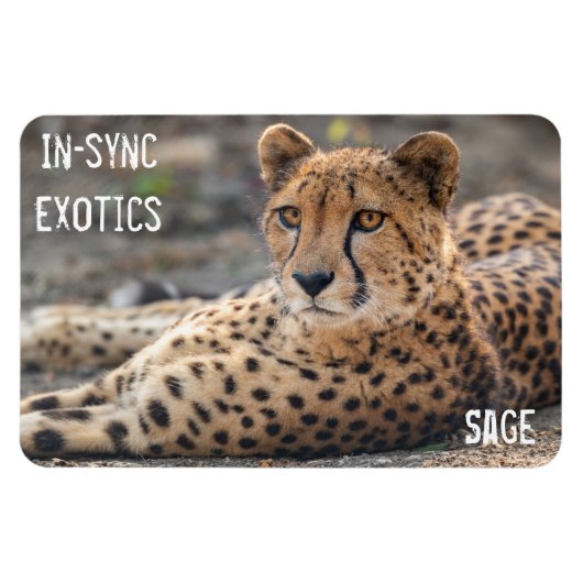 Sage - magneet (Horizontaal)