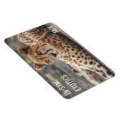 Sage - magneet (Rechterzijde)