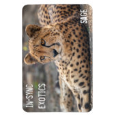 Sage - magneet (Verticaal)