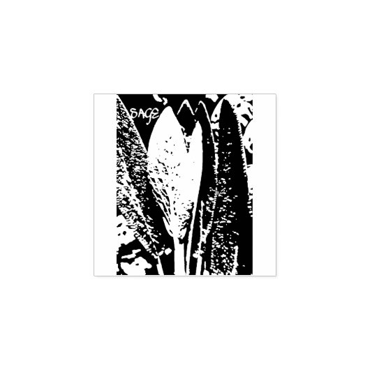 Sage Rubberstempel (Afrduk)