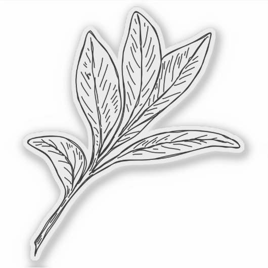 Sage Sticker (Voorkant)