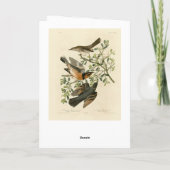 Sage Thrasher en Varied Thrush, Vogels van Audubon Kaart (Achterkant)