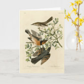 Sage Thrasher en Varied Thrush, Vogels van Audubon Kaart (Gele Bloem)