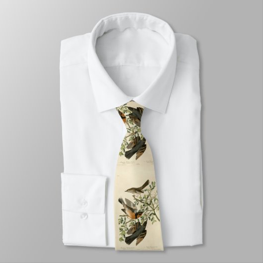 Sage Thrasher en Varied Thrush, Vogels van Audubon Stropdas (Gebonden)