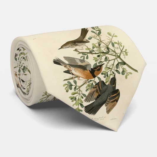 Sage Thrasher en Varied Thrush, Vogels van Audubon Stropdas (Opgerold)