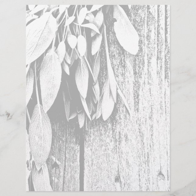 Sage van Barn-wood Grayscale, vers gesneden (Voorkant)