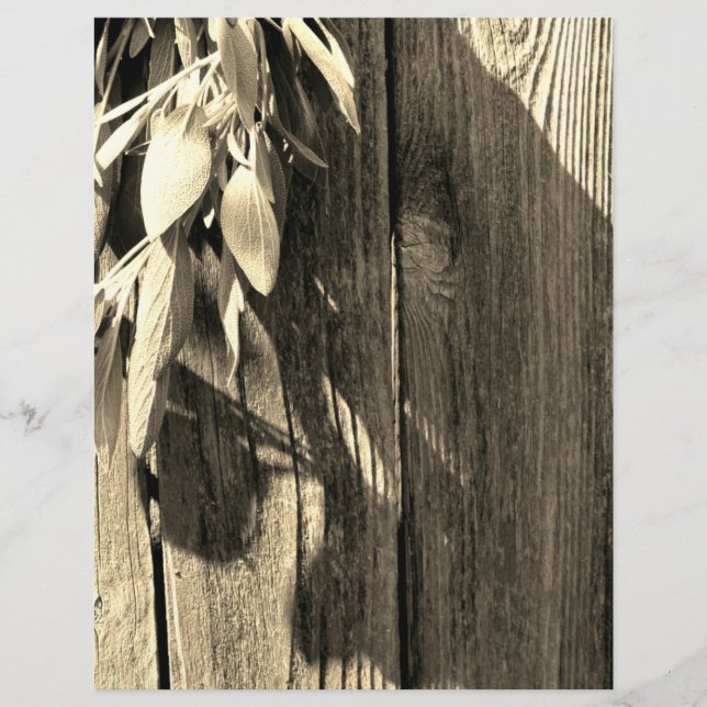Sage van Barn-wood Grayscale, vers gesneden (Voorkant)