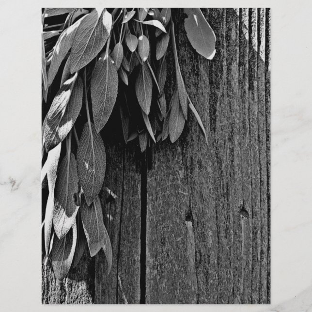 Sage van Barn-wood Grayscale, vers gesneden (Voorkant)