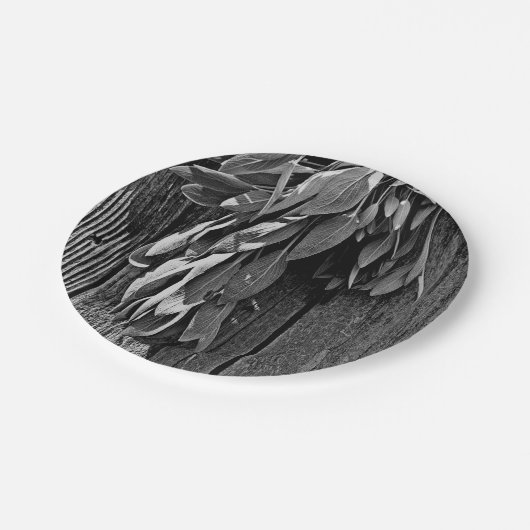 Sage van Barn-wood Grayscale, vers gesneden Papieren Bordje (Gekanteld)