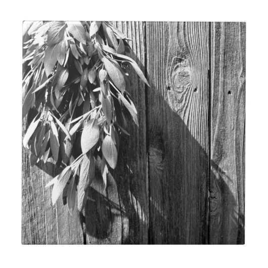 Sage van Barn-wood Grayscale, vers gesneden Tegeltje (Voorkant)