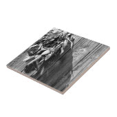 Sage van Barn-wood Grayscale, vers gesneden Tegeltje (Zijkant)