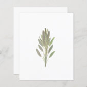 Sage van botanische plant van groenpapier (Voorkant / Achterkant)