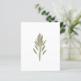 Sage van botanische plant van groenpapier