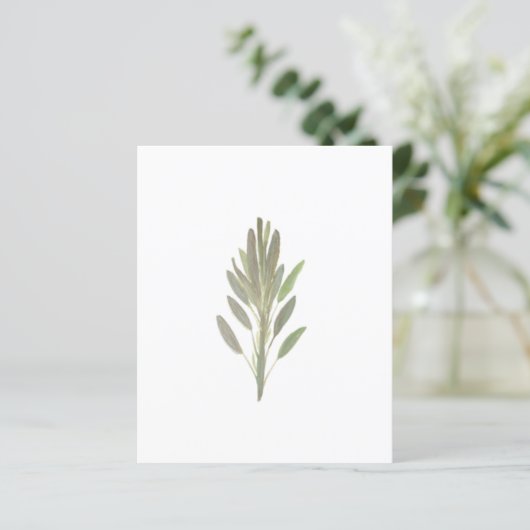 Sage van botanische plant van groenpapier (Staand voorkant)