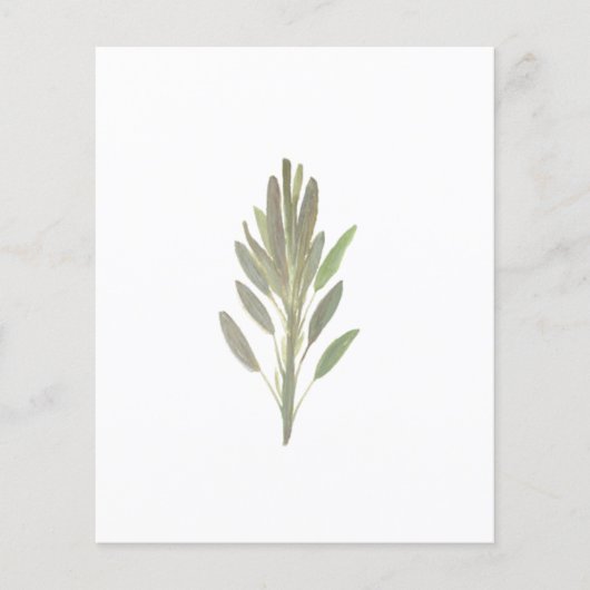 Sage van botanische plant van groenpapier (Voorkant)