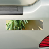 Sage, vers gesneden bumpersticker (Op auto)