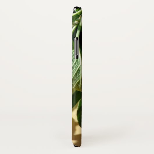 Sage, vers gesneden Case-Mate iPhone case (Achterkant / rechts)
