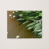 Sage, vers gesneden legpuzzel (Horizontaal)