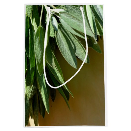 Sage, vers gesneden medium cadeauzakje (Voorkant)
