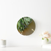 Sage, vers gesneden ronde klok (Huis)