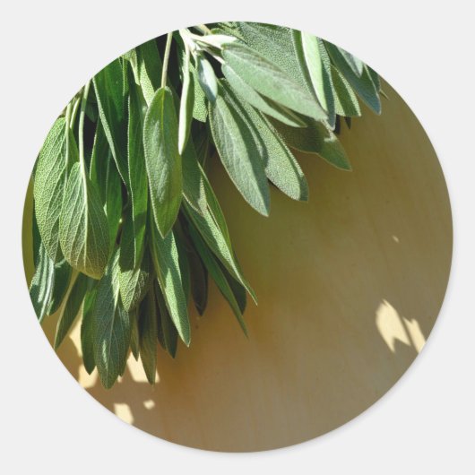 Sage, vers gesneden ronde sticker (Voorkant)