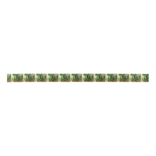 Sage, vers gesneden satijnen lint (Voorkant)