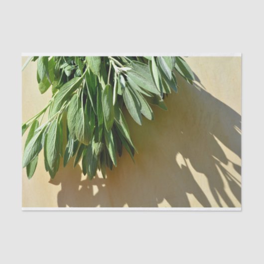 Sage, vers gesneden tissuepapier (Voorkant)