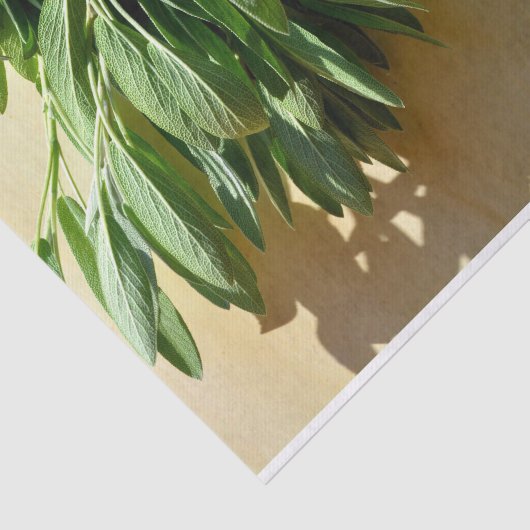 Sage, vers gesneden tissuepapier (Detail)