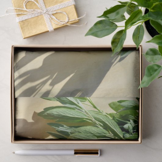 Sage, vers gesneden tissuepapier (Geschenk)