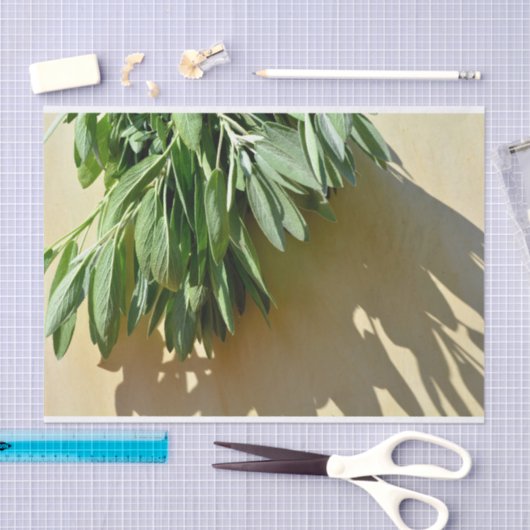 Sage, vers gesneden tissuepapier (Craft)