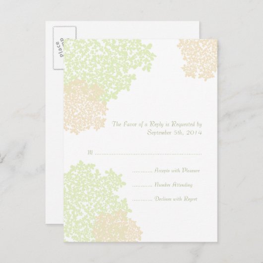 Sage & White Queen Anne's Lace Wedding RSVP Uitnodiging Briefkaart (Voorkant / Achterkant)