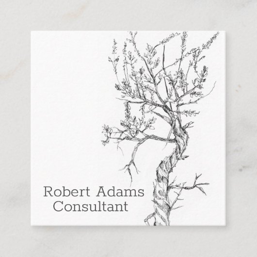 Sagebrush Plant Pen en Ink Zwart Wit Botanisch Vierkante Visitekaartje (Voorkant)
