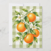 Sagegroene geruite Little Cutie Baby Shower Kaart (Achterkant)