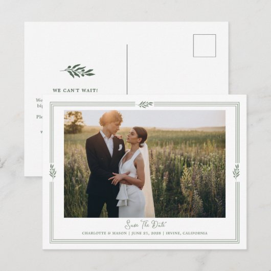 Sagegroene Olijftak Foto Bewaar Datum Briefkaart (Voorkant / Achterkant)