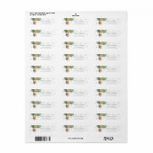 Sagegroene Teddyshower Retouradres voor babyshower Etiket (Full Sheet)