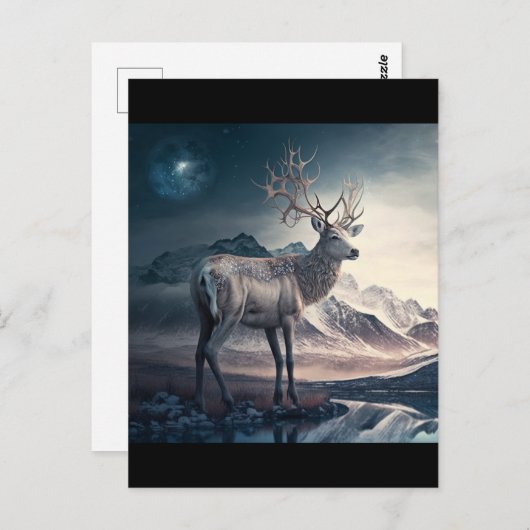 Sagerendieren Briefkaart (Voorkant / Achterkant)