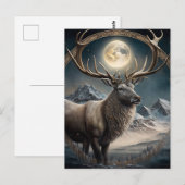 Sagerendieren Briefkaart (Voorkant / Achterkant)