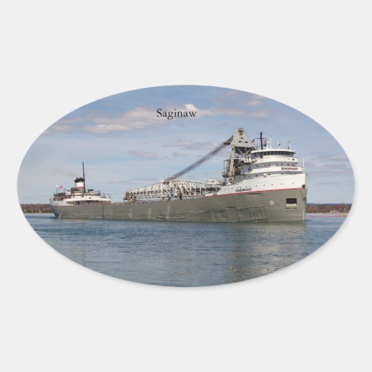 Saginaw-sticker Ovale Sticker (Voorkant)