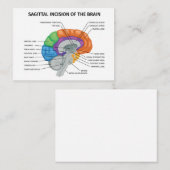Sagittale incisie van de hersenen notitiekaartje (Voorkant / Achterkant)