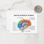 Sagittale incisie van de hersenen notitiekaartje (Voorkant / Achterkant in situ)